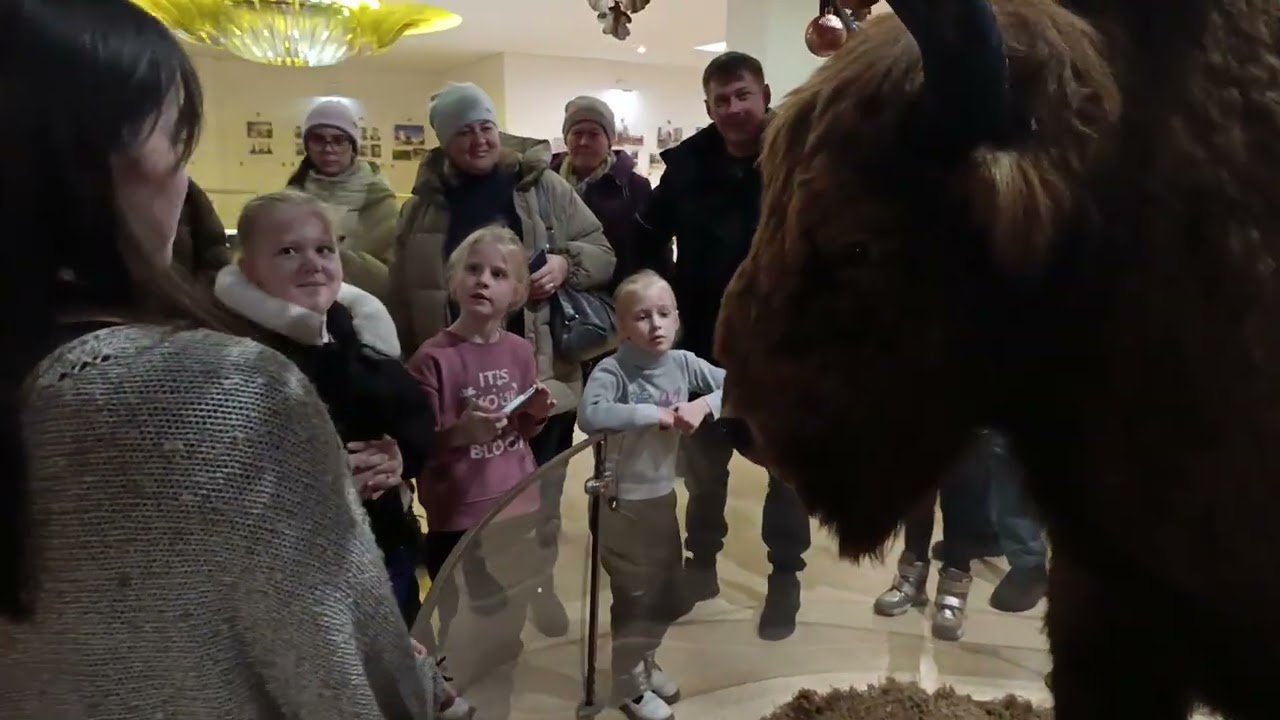 Музей Беловежская Пуща