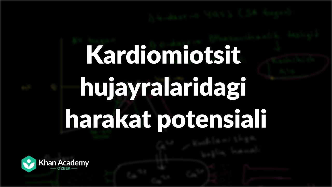 Kardiomiotsit hujayralaridagi harakat potensiali | Yurak hujayralari depolyarizatsiyasi | Tibbiyot