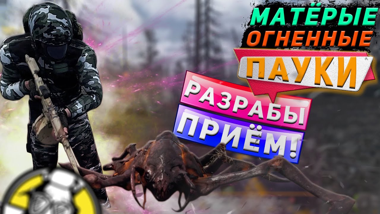ВЫПАЛ ВЕПРЬ В ГАЙДЕ -  МАТЁРЫЕ ОГНЕННЫЕ ПАУКИ ПОБЕРЕЖЬЯ - WILL TO LIVE ONLINE!