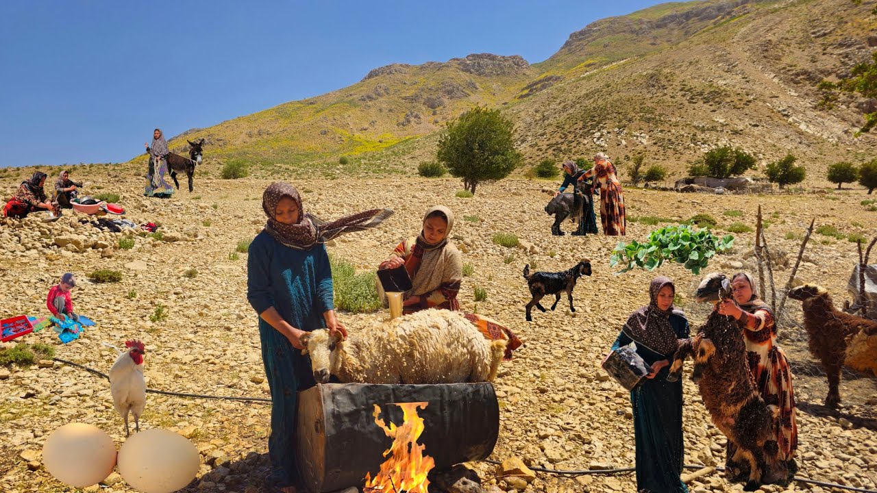 Nomadic Life: Nomadic Animal Care 🐑 | Nomadic Girls Protecting Their Flock 🌿