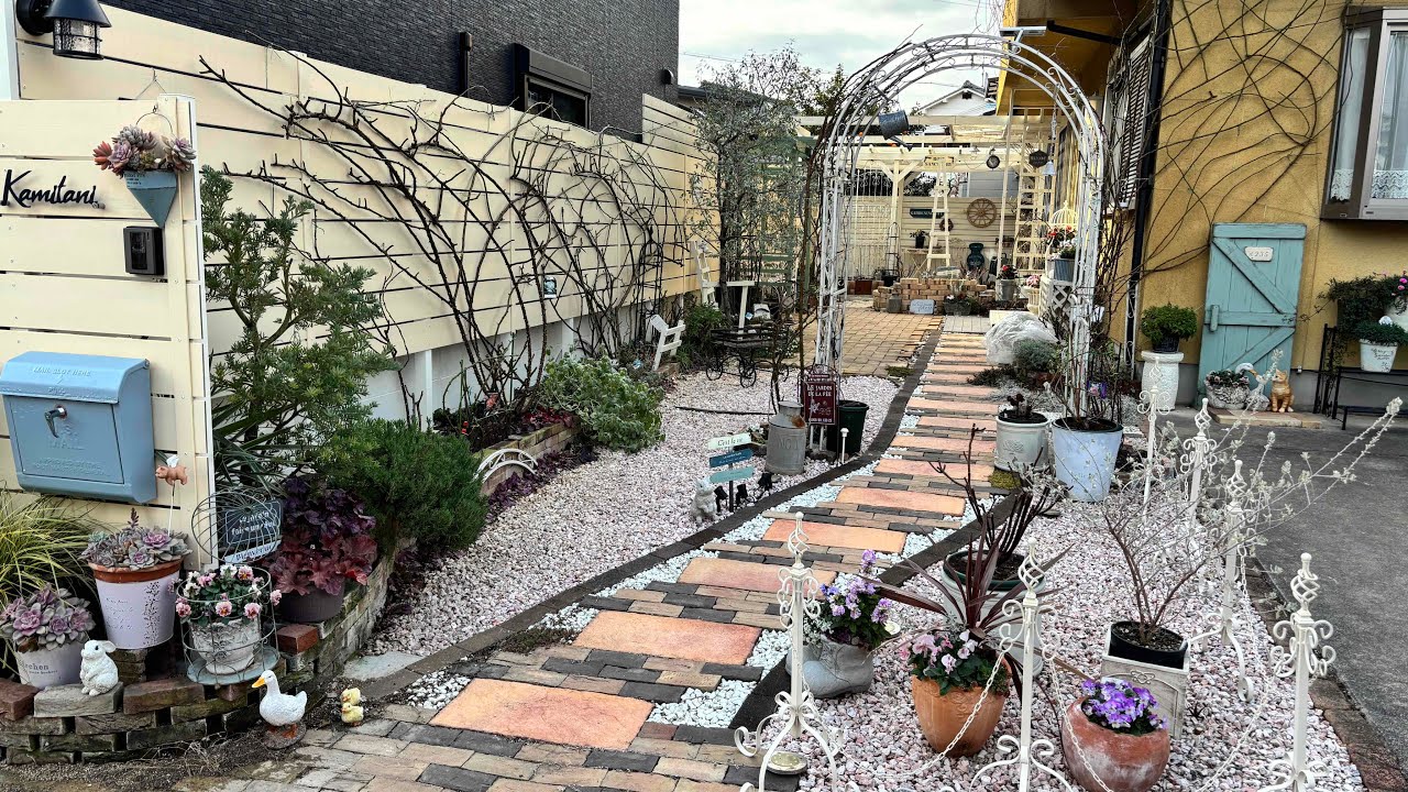 バラ庭🌹冬の剪定・誘引#バラ庭 #rosegardens 