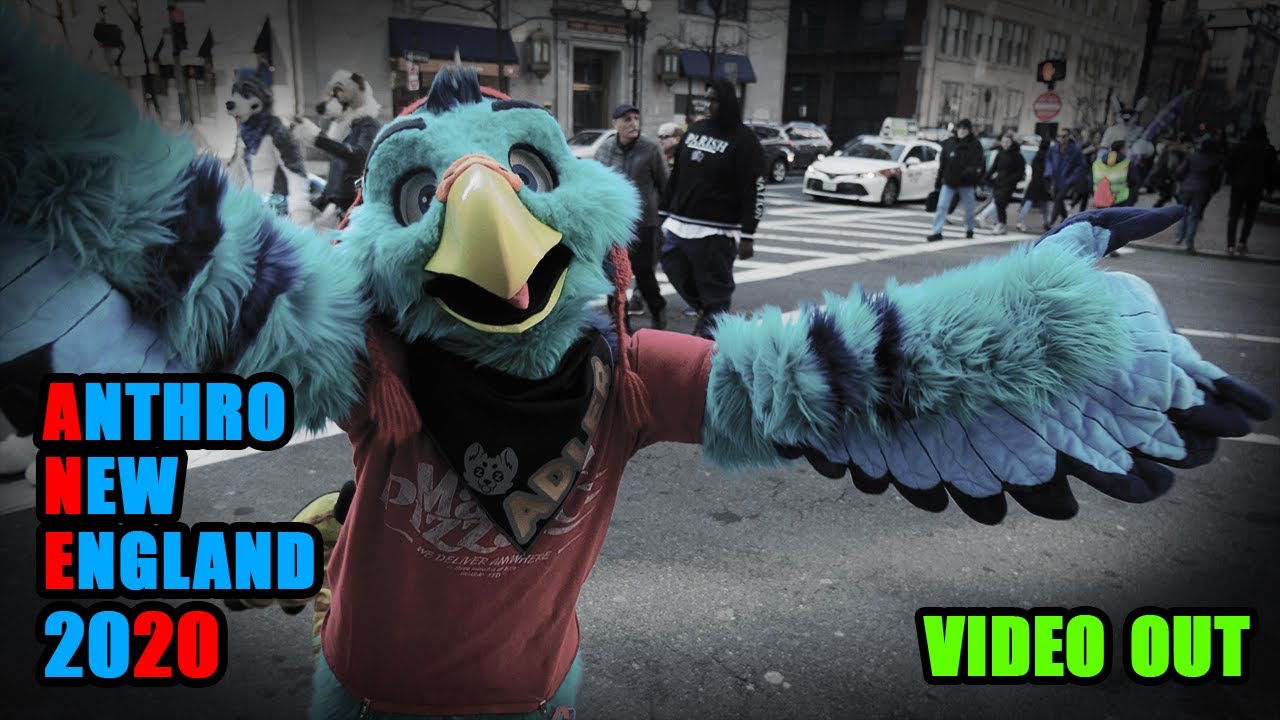 Anthro New England 2020 | ANE 2020
