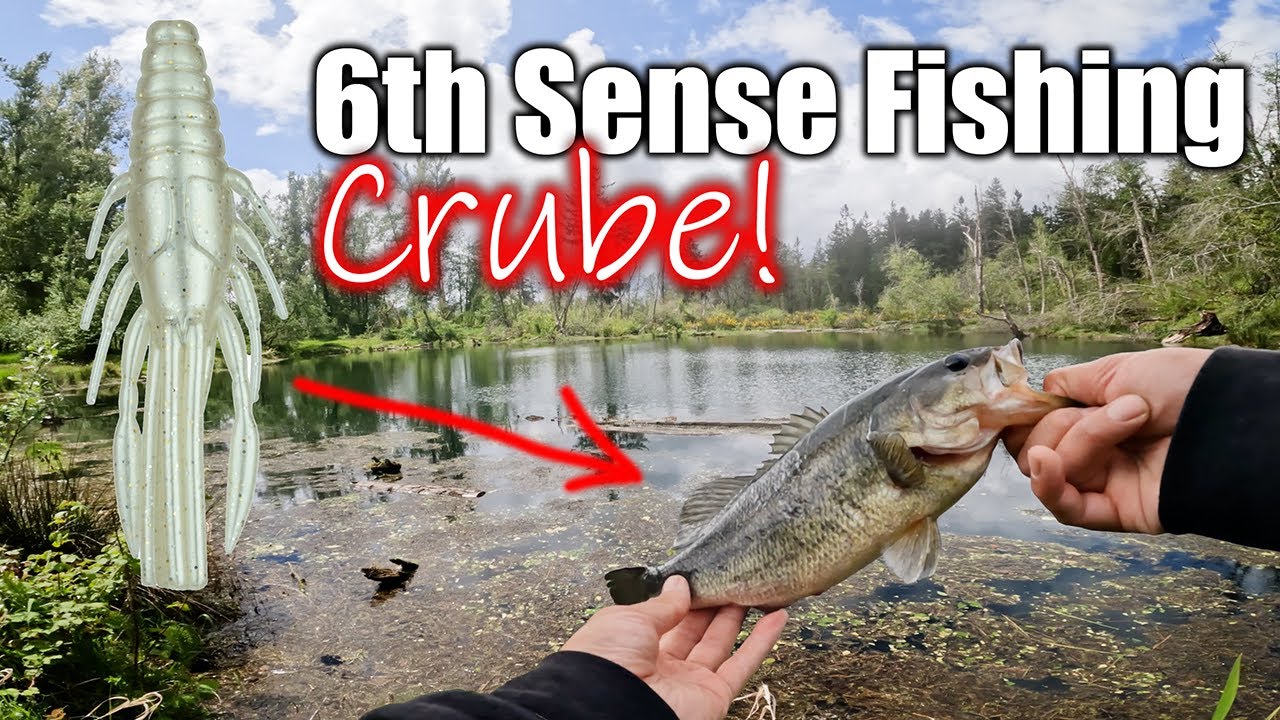 Fishing With A New Lure! (6th Sense Crube)
