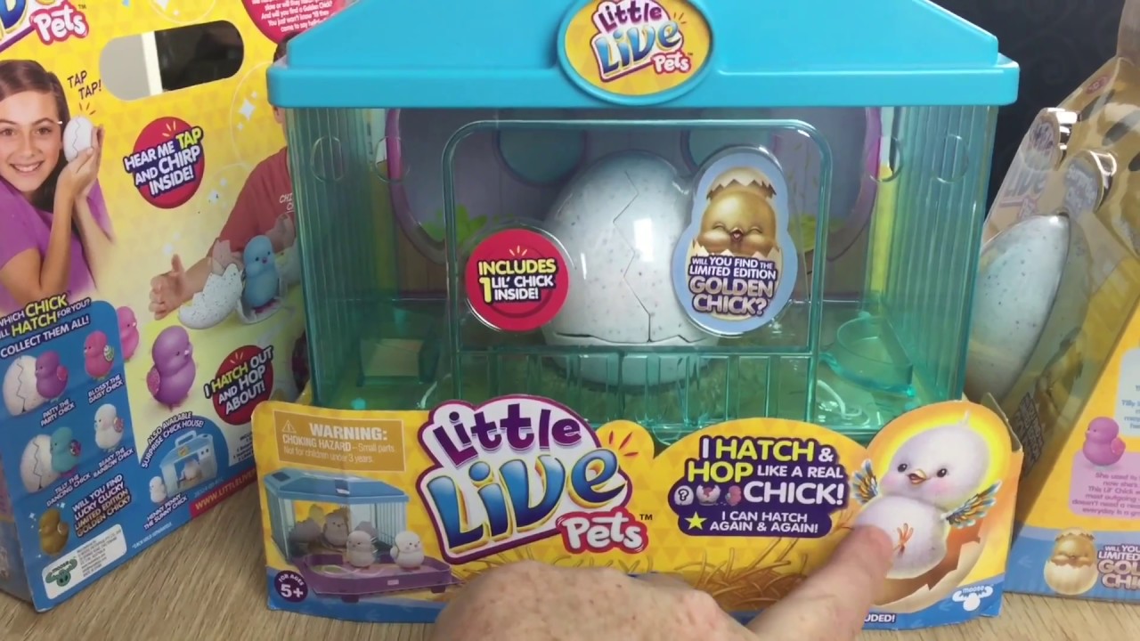 Little live Pets Surprise Chicks