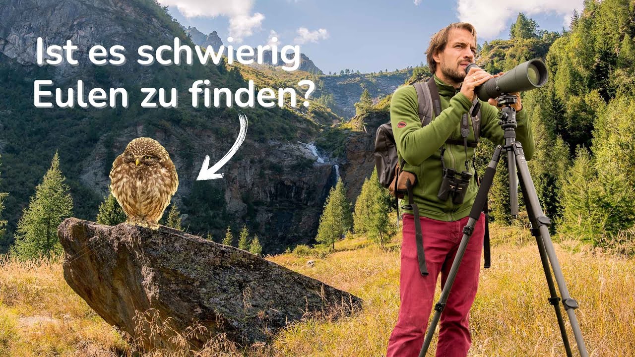 Von der Schwierigkeit Eulen zu finden🦉🫤(Vorsicht Humor!)