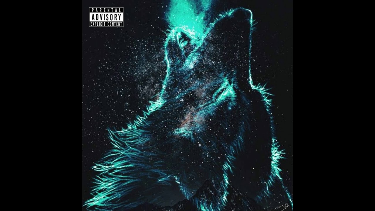 Rocket - Parceiro