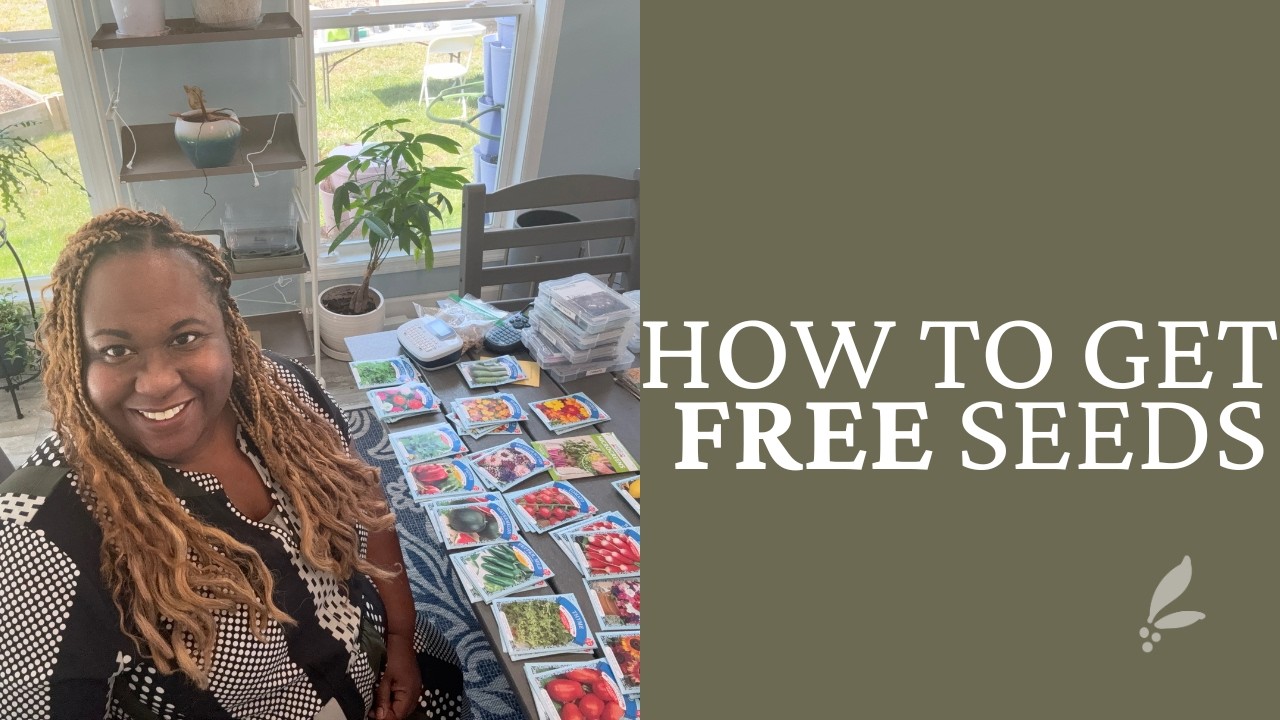 3 FREE RESOURCES FOR GARDEN SEEDS