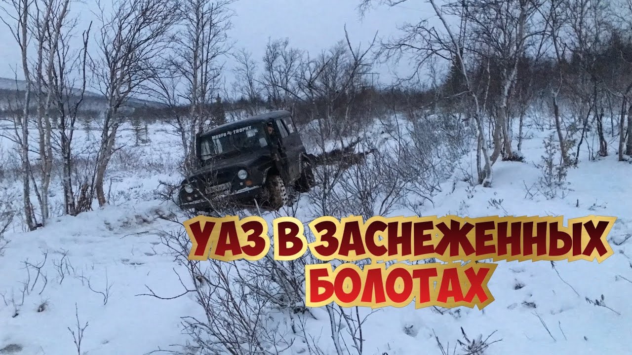 УАЗ В ЗАСНЕЖЕННЫХ БОЛОТАХ