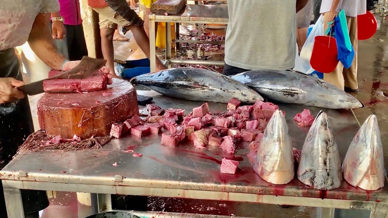 Tuna fish cutting by skillful and fast fish cutter