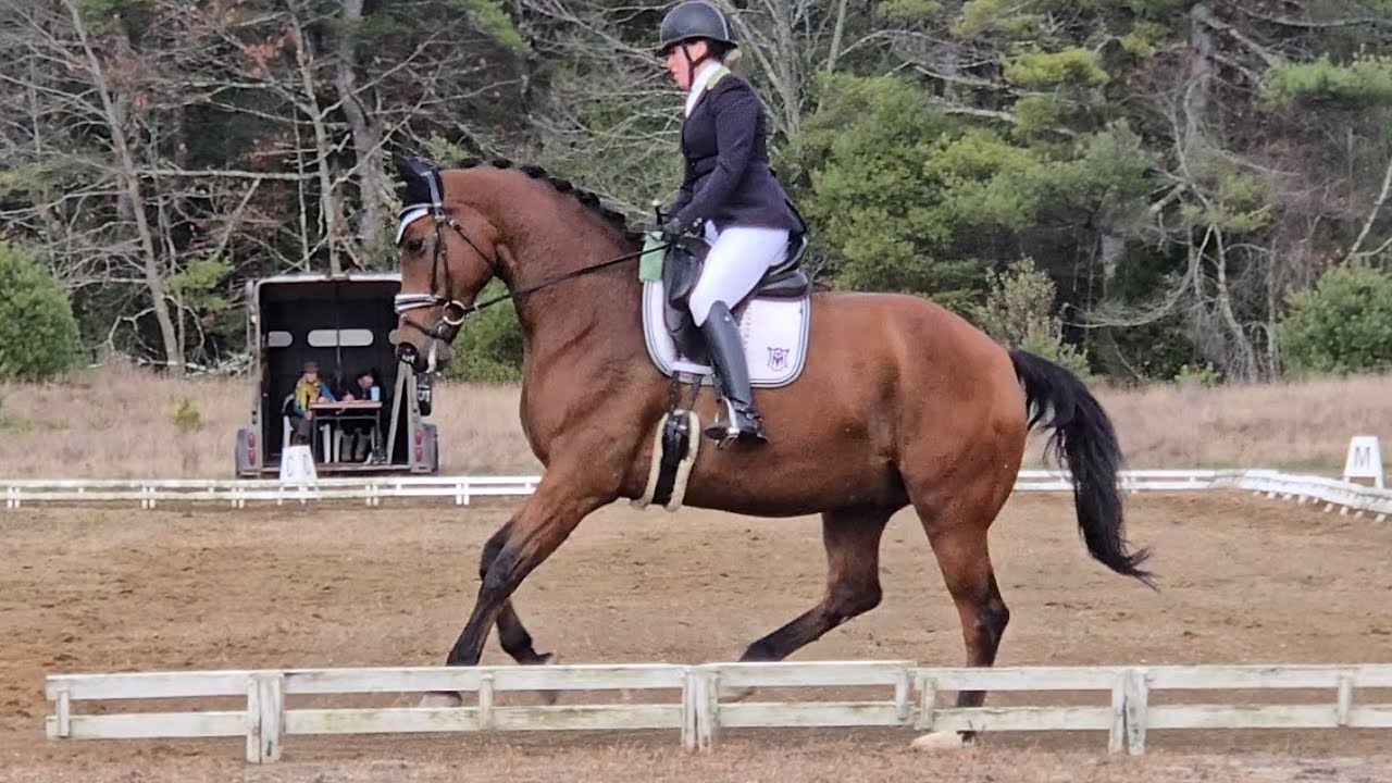 Kestrel 1st 3 at Esprit Equestrian,  Charlotte Trentleman judge.  70.6% 1st place November 2025