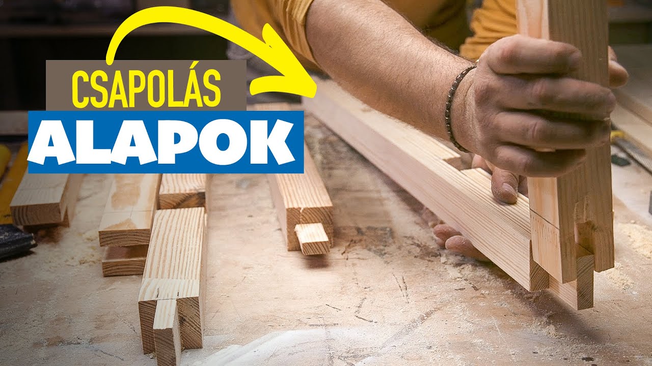 CSAPOL&Aacute;S: Alapok
