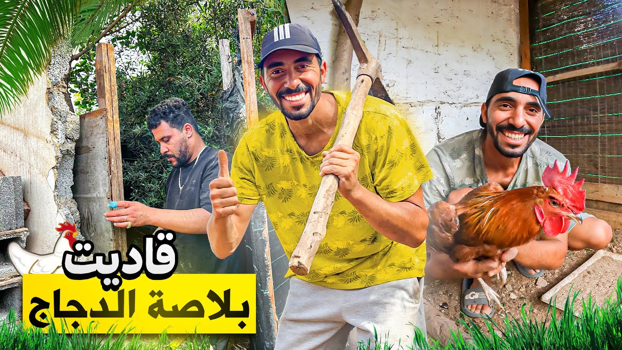 أغرب سجنة ديال الدجاج شفتها 🐔😲ها كفاش قدينااا مسرح مفتوح للدجاج😍