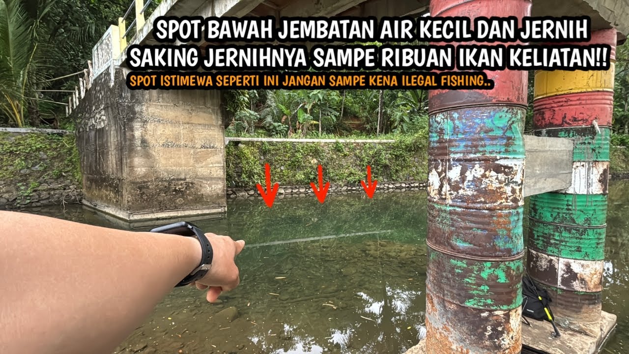 NEMU SPOT BAWAH JEMBATAN SEISTIMEWA INI!! Mancing wader teknik kumbul umpan rasbora jasuke x