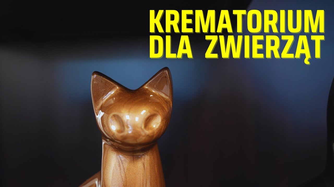 Gdy odchodzi pupil - co dalej, kremacja?