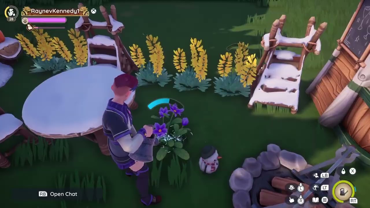 Crafting, Gardening, and...Other Things