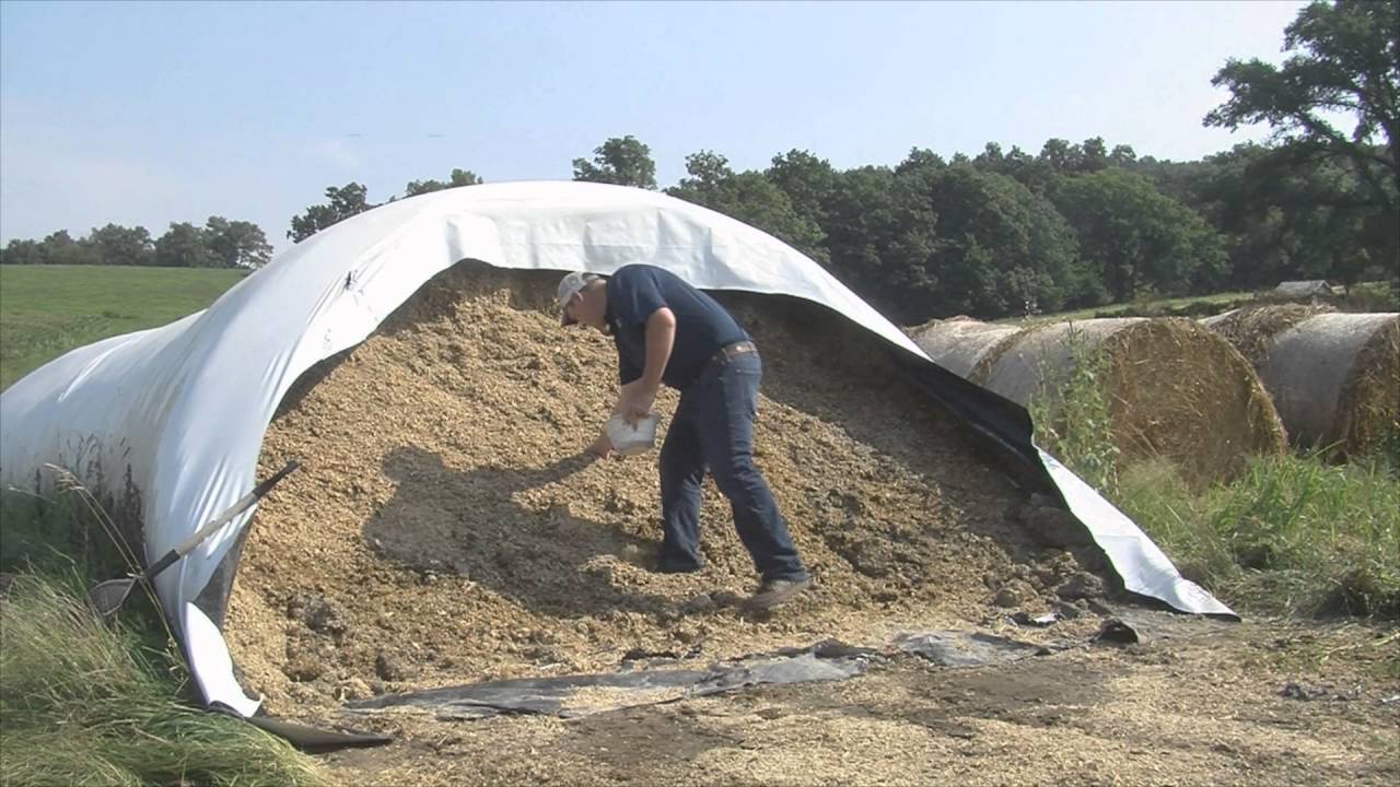 Vita Plus Forage Foundations: Forage sampling series - Silage bags