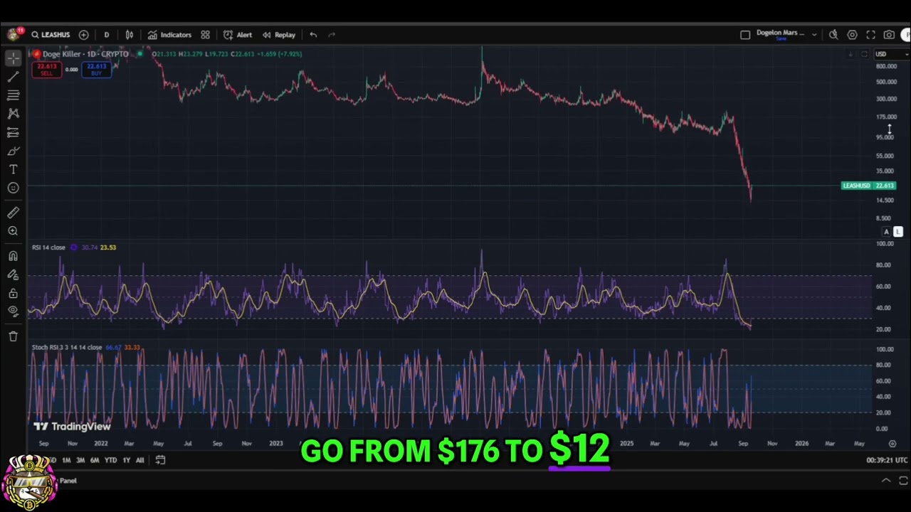 Обвал Doge Killer LEASH: что случилось и что будет дальше? #shorts