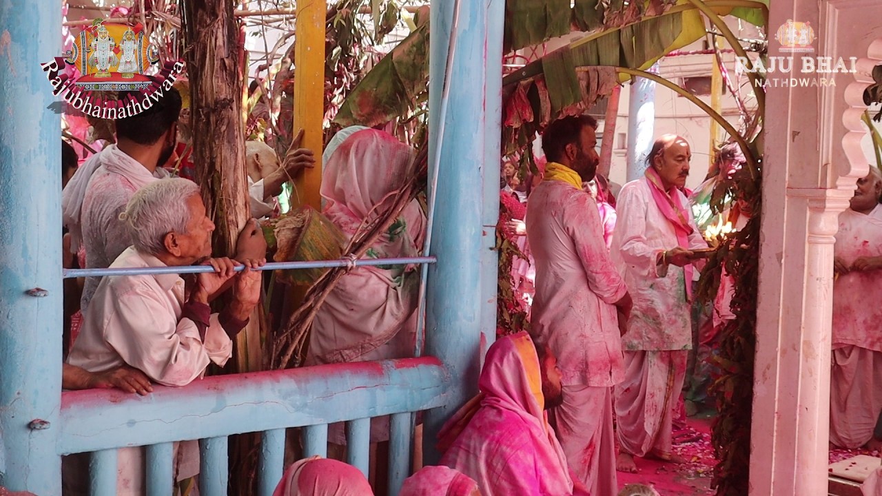 द्वितीय पीठ प्रभु श्री विट्ठल नाथ जी मंदिर में आज बगीचा उत्सव