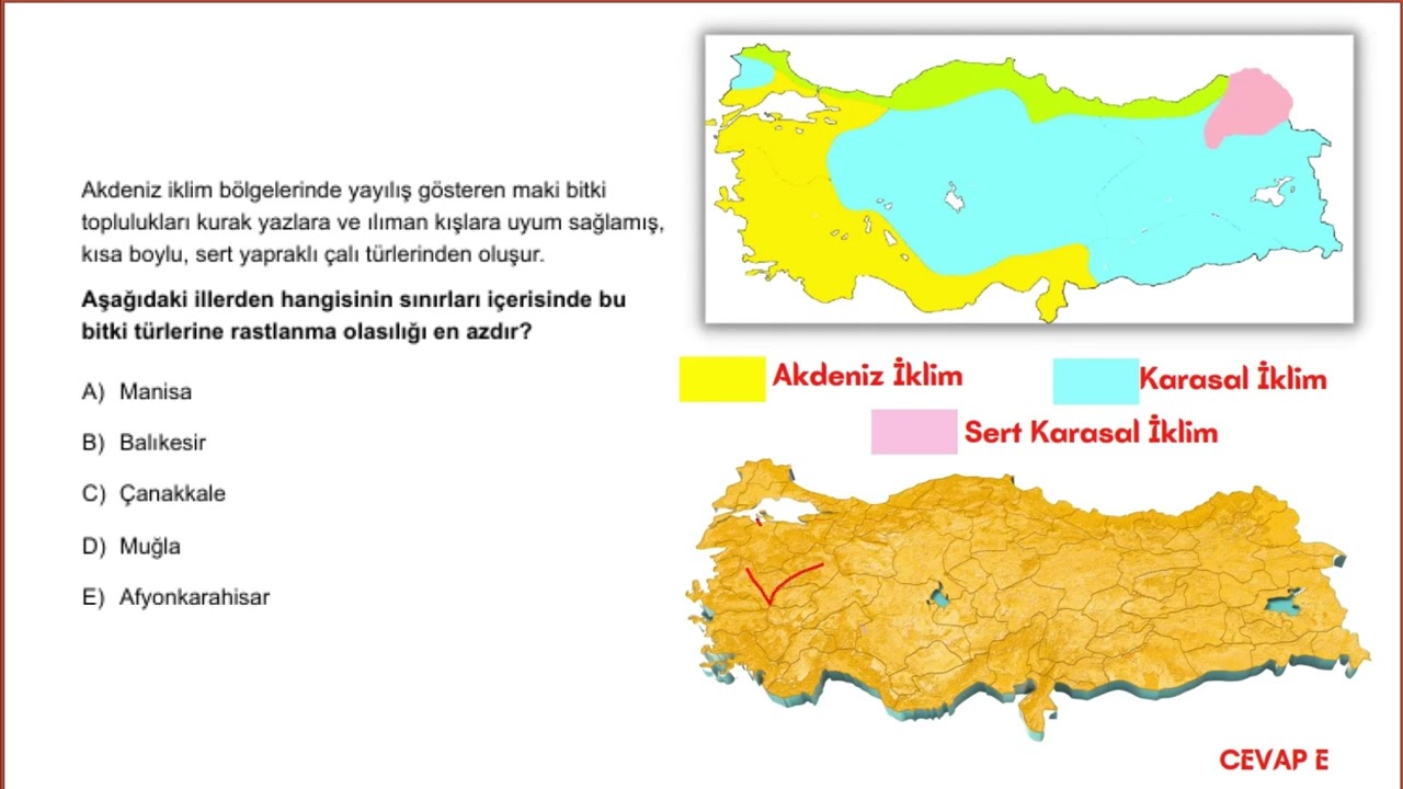 TYT Frekans Denemeleri Deneme 2 Sosyal  Bilimler Testi Soru Çözümleri