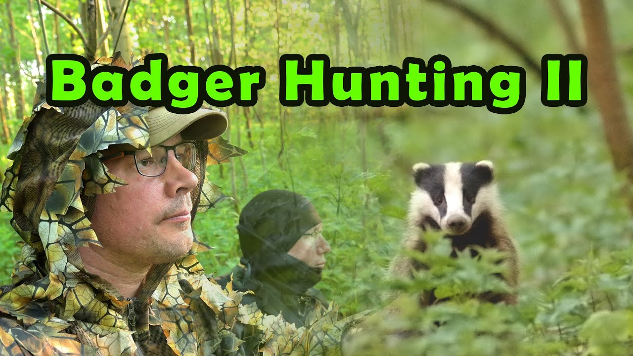 Amazing Encounter with Badger Family | Episode 16: Badger Hunting Part II