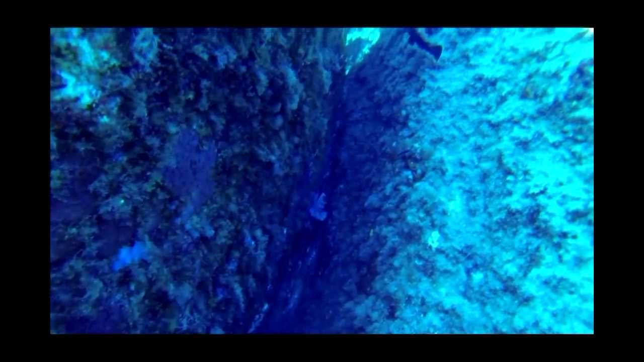 Perlustrazione subacquea dei fondali di Villasimius [GO PRO HERO 3 HD]