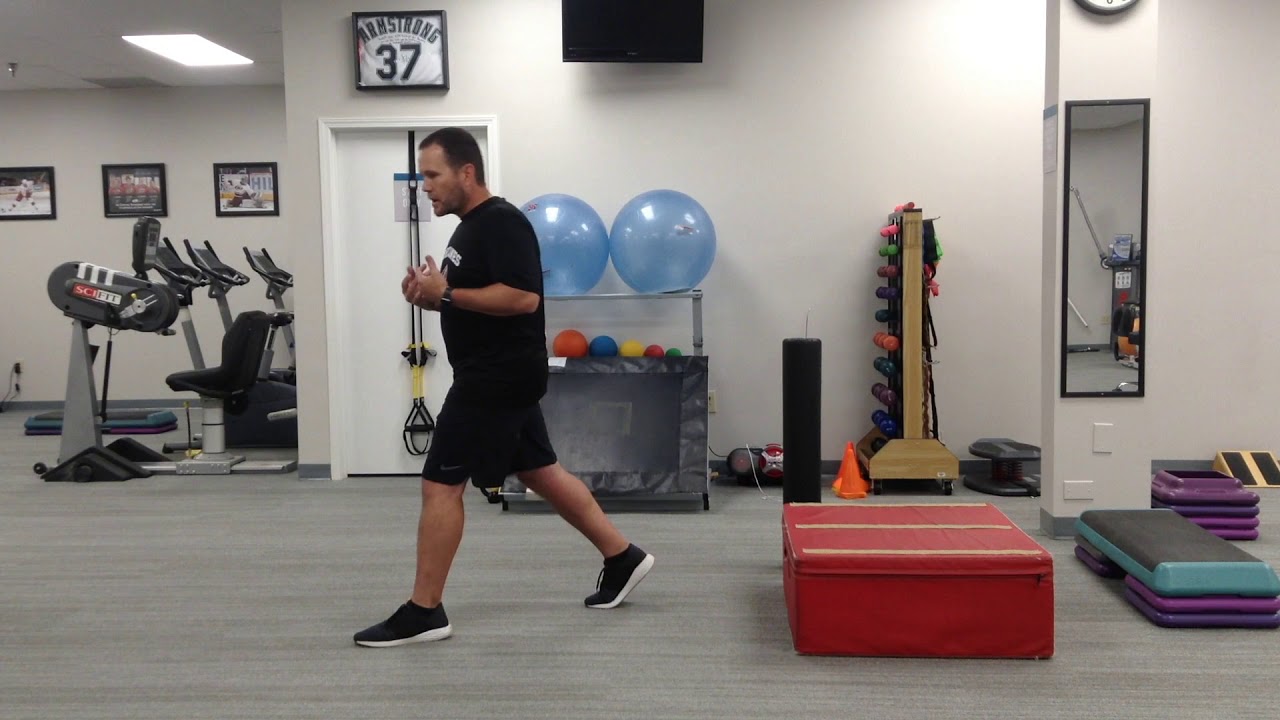 Isometric split squat