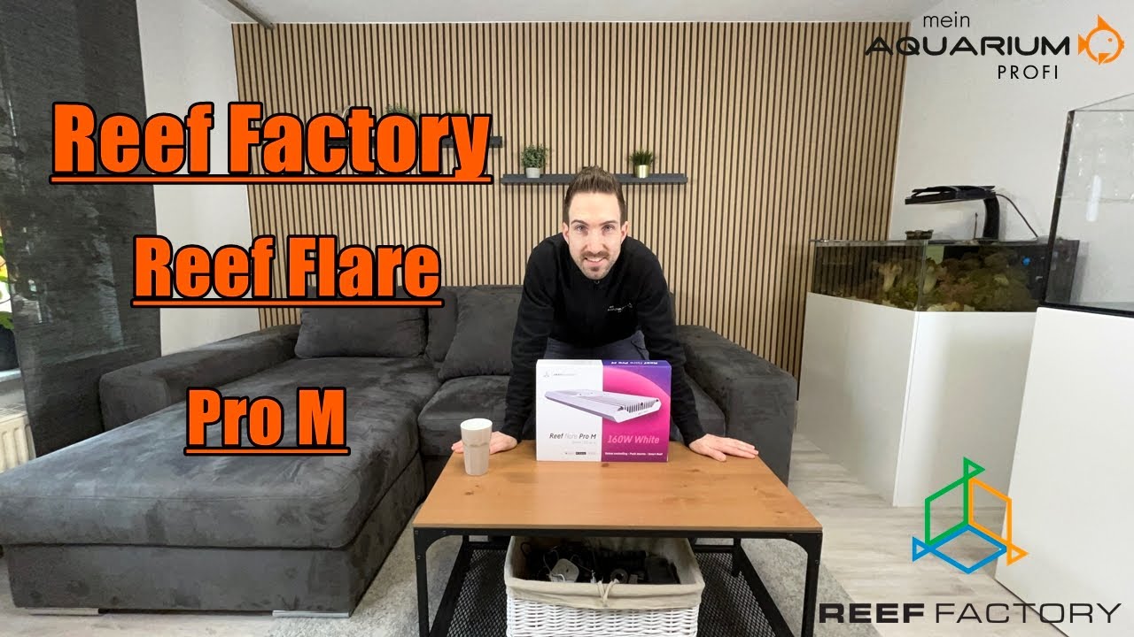 Reef Factory Reef Flare Pro M! Erster Eindruck! #reeffactory #reefflareprom #meerwasser
