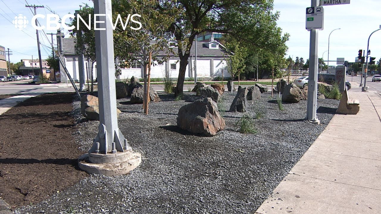 Winnipeg a step closer to tighter rules on homeless encampments