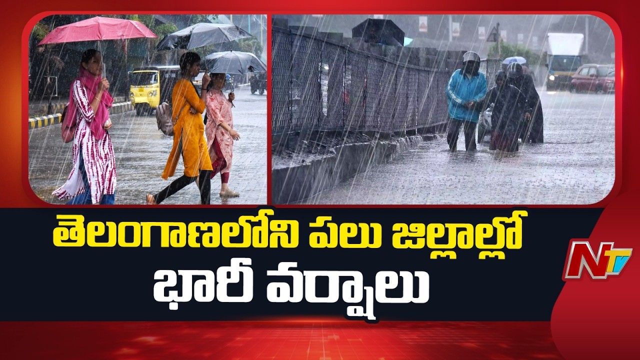 Heavy rains in several districts of Telangana | Weather Updates | NTV Telugu
