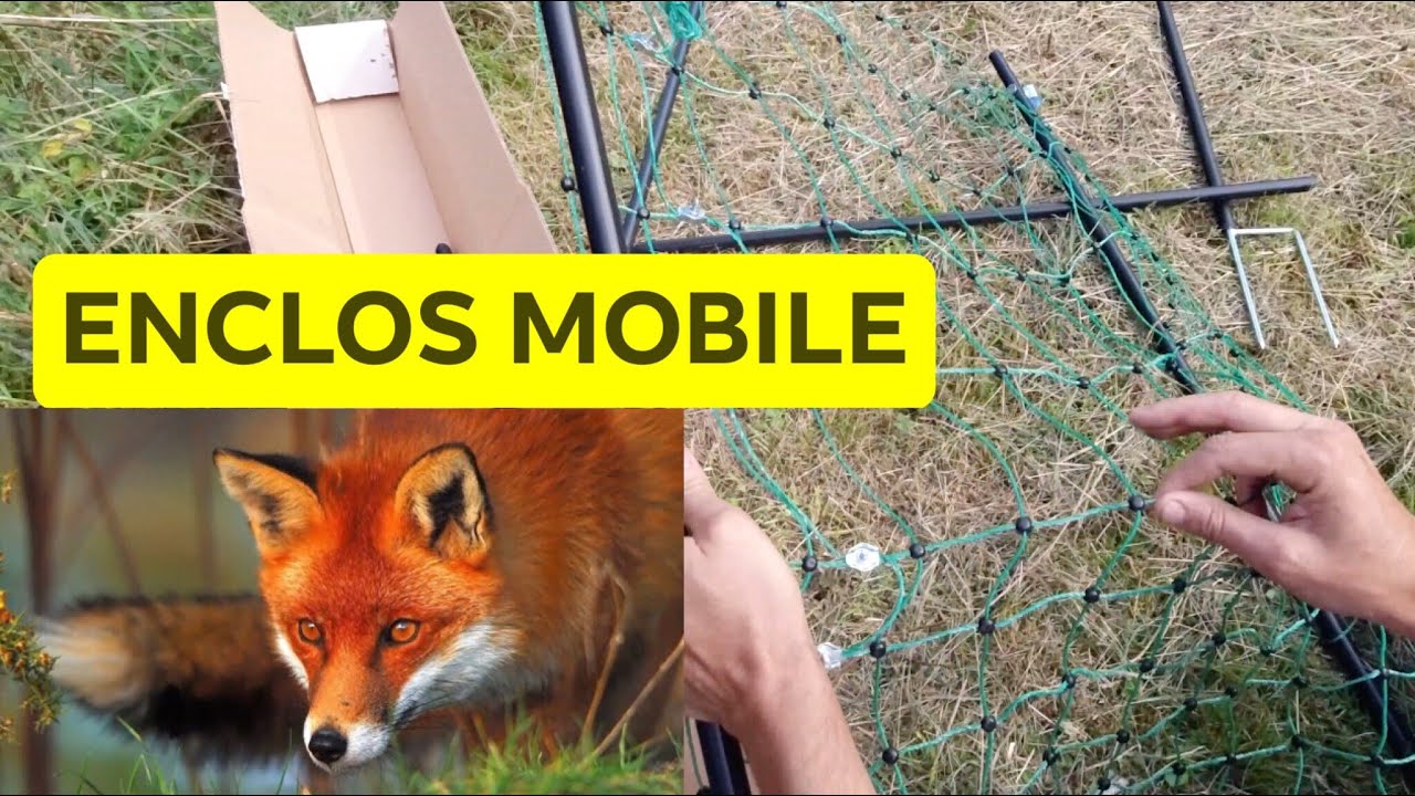 🐓 ENCLOS / CLOTURE POULAILLER MOBILE POUR POULES AU JARDIN EN PERMACULTURE