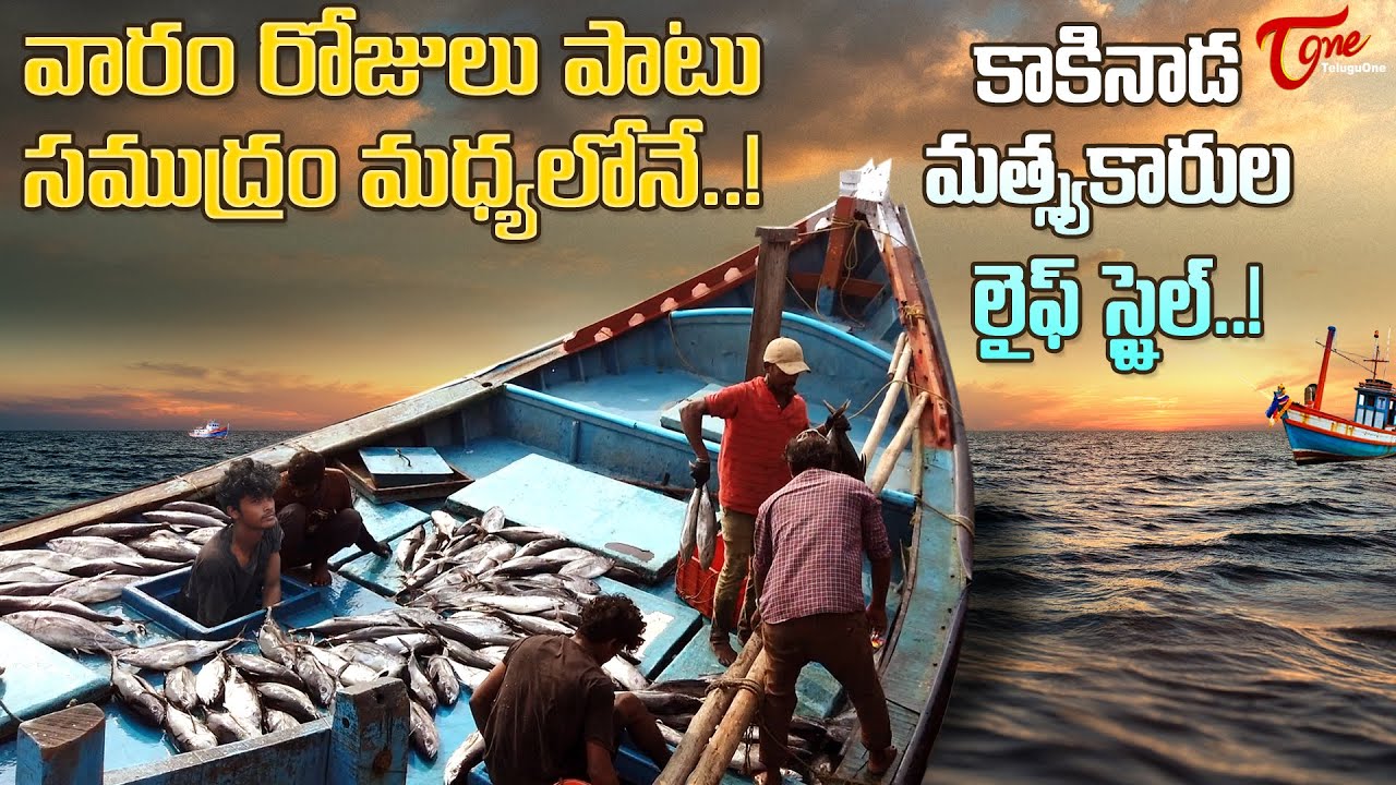 Kakinada Port Tour | వారం రోజులపాటు సముద్రం మధ్యలోనే..| Fishermen Lifestyle | TeluguOne