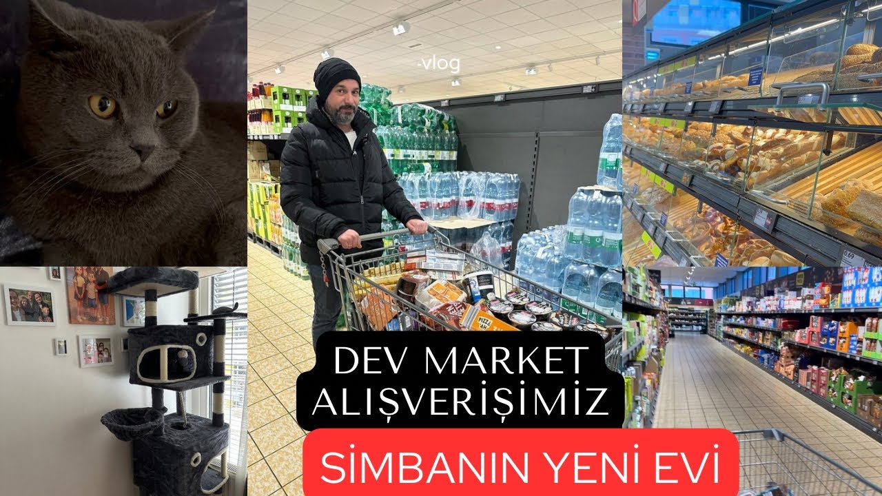 DEV MARKET ALIŞVERİŞİMİZ| SİMBAYA YENİ EV| İŞGENCEYE DÖNÜŞTÜ ALIŞVERİŞ #alışverişim 