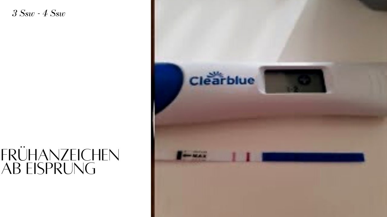 3 ssw/3 weeks of pregnancy|4 ssw|Frühschwangerschaftsanzeichen