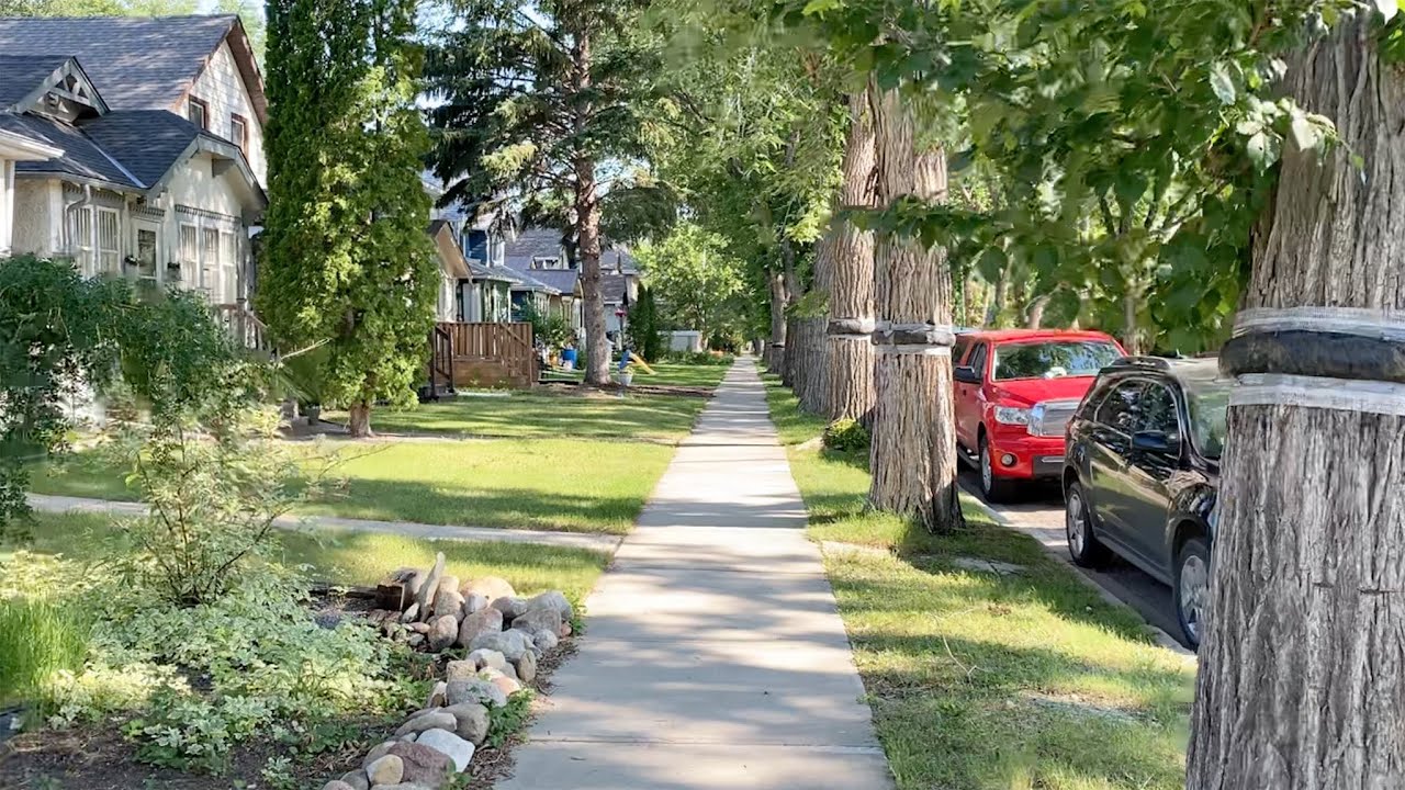 Walking in Regina, June 29, 2021: Up and Down Cathedral
