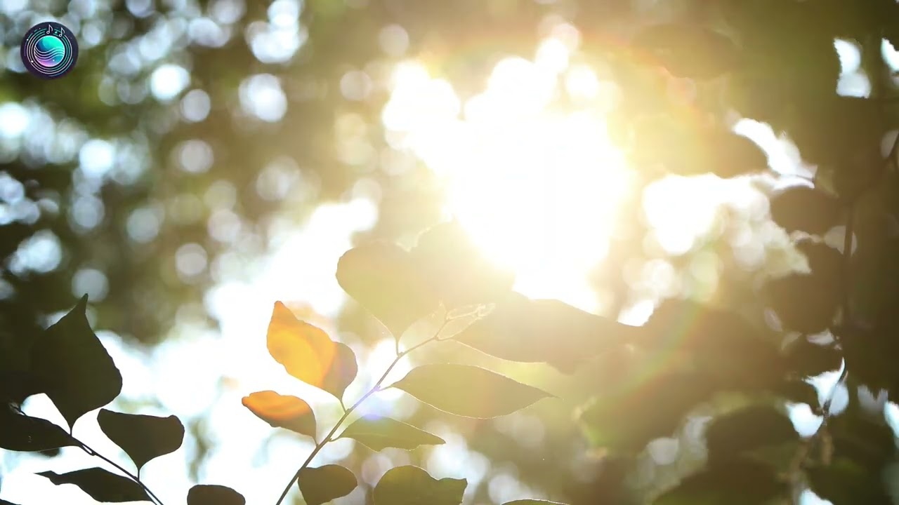 417Hz | Libere Vícios, Culpa e Padrões Negativos | Frequência de Cura e Renovação Espiritual