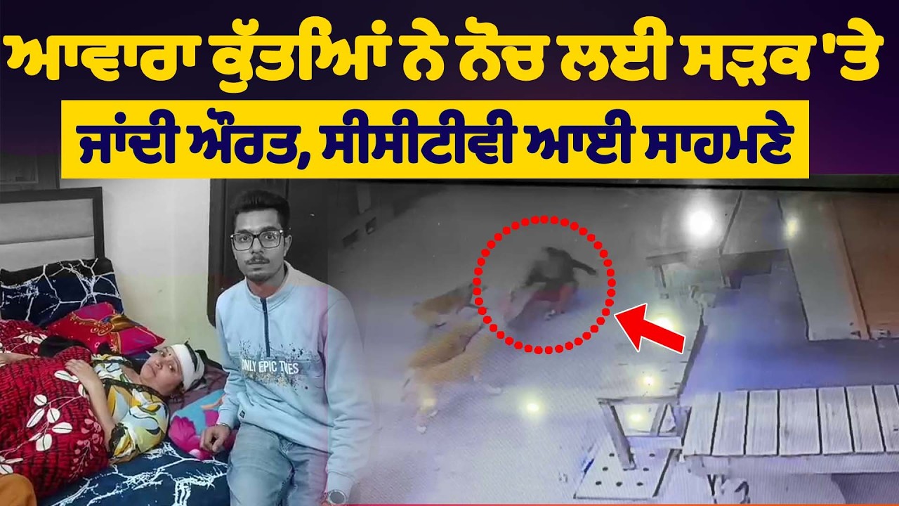 ਆਵਾਰਾ ਕੁੱਤਿਆਂ ਨੇ ਨੋਚ ਲਈ ਸੜਕ 'ਤੇ ਜਾਂਦੀ ਔਰਤ, ਸੀਸੀਟੀਵੀ ਆਈ ਸਾਹਮਣੇ
