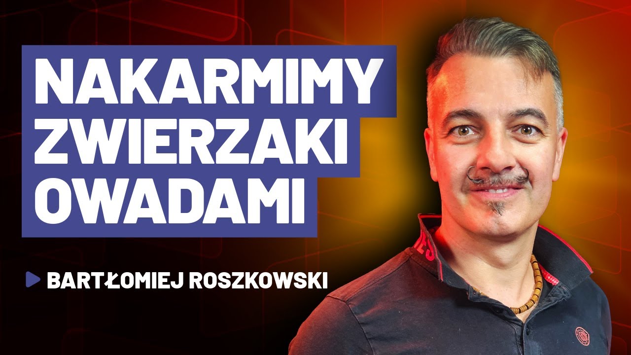 Historia seryjnego przedsiębiorcy (gość: Bartłomiej Roszkowski) | TECHNOFOBIA