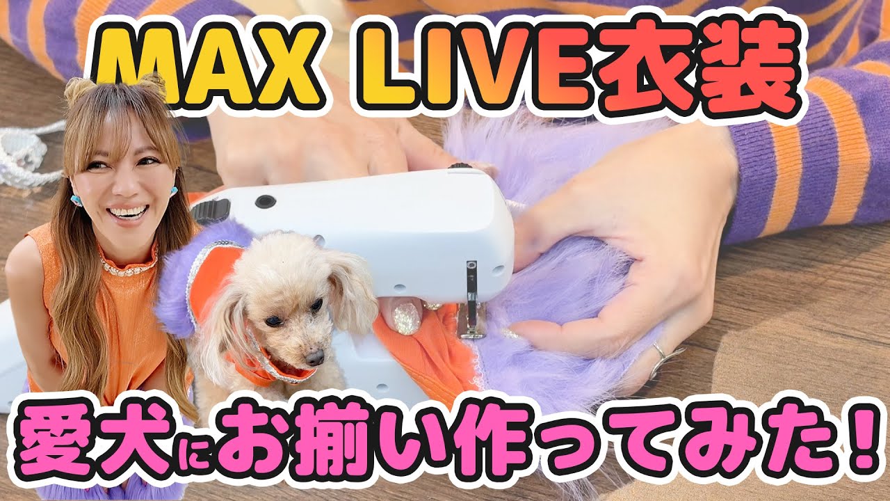 愛犬にMAX LIVE衣装とお揃いの衣装を作りました🪡