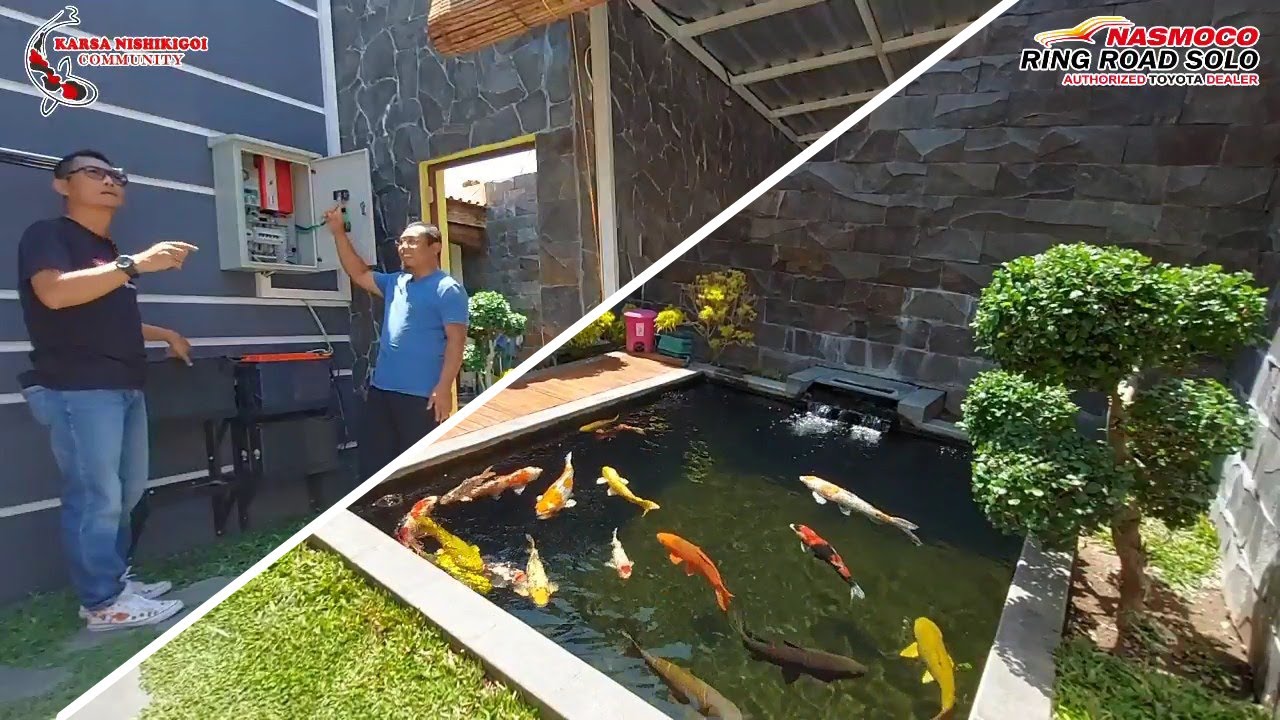 Kolam Koi Tanpa Tagihan Listrik Bulanan?? | Kolam Mewah Harga Murah | Pond Visit of The Week Eps 4