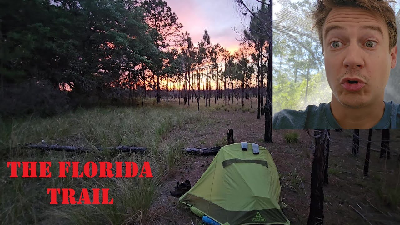 BLACK BEAR SCARE HAS ME SHOOK! Backpacking the Florida Trail: Ocala National Forest Part 3. 4K VIDEO