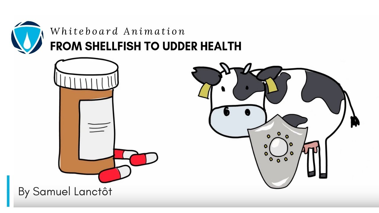 From shellfish to udder health