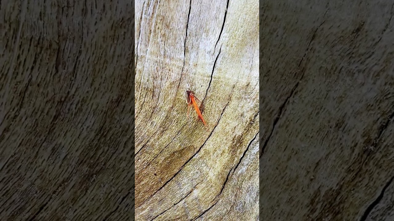 SKUTECZNY ZESTAW NA MORSKĄ TROĆ! 