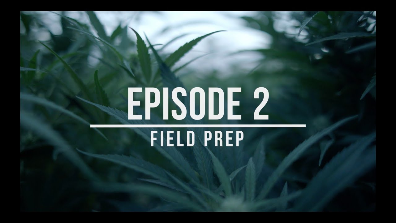Growing Hemp: Best Practices for Success – Episode 2: Field Prep