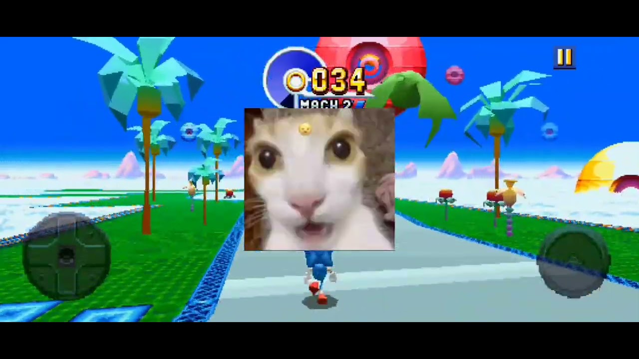 Sonic manía plus 🗿