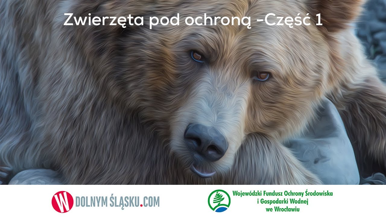 Zwierzęta pod ochroną. Część 1