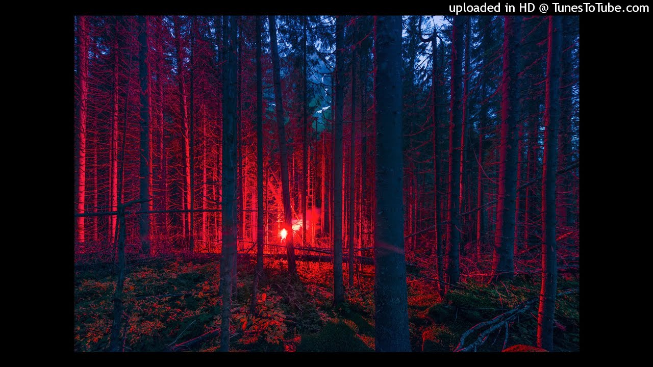 SkyWalker Rules - Black Groove - Mix1 0002 [2019-03-30 053140]