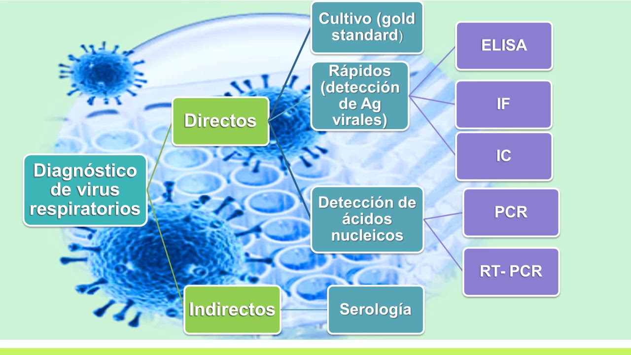 2017/10 - Virus respiratorios en adultos con infecciones respiratorias agudas