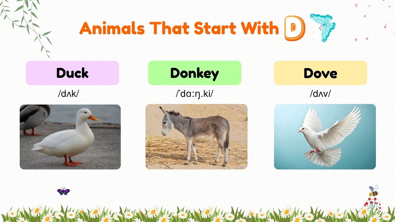 120 ANIMALS That Start with Letter D 🐶: Can You Name Them All?  Animals Vocabulary