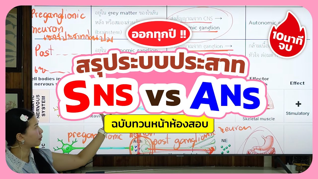SNS vs ANS ต่างกันยังไง? | สรุประบบประสาทชีวะออกสอบทุกปี เข้าใจง่ายใน 10 นาที