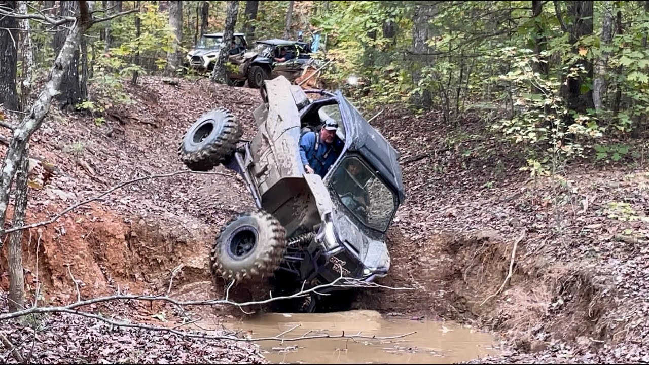 Creeping and Crawling Through The Ozark National Forest